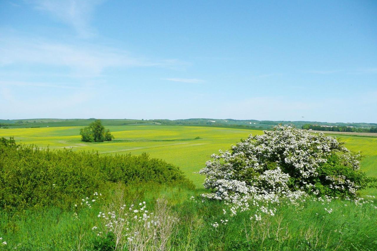 Ferienwohnung Mit Balkon Und Meerblick - Ferienresidenz Zwei Bodden Fewo 1-4 Lietzow Luaran gambar